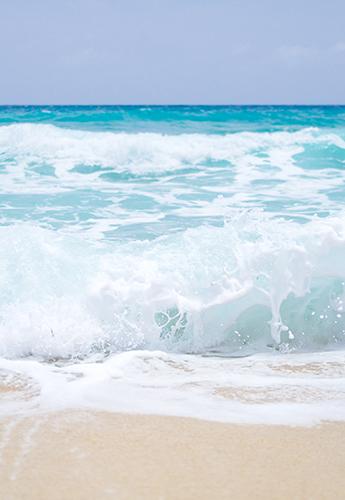 Photo of beach and ocean wave